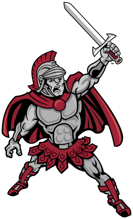 Troy Trojans 2004-2016 Secondary Logo diy iron on heat transfer